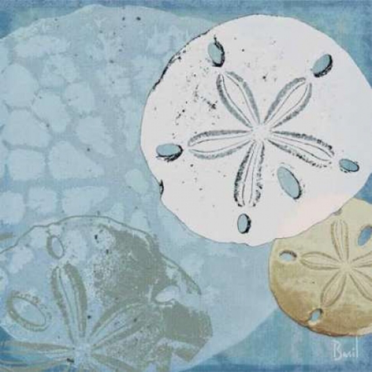Oceans Delight III Poster Print by Jason Basil - Item # VARPDX6794